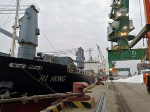 福港物流首次承接外贸船舶代理业务