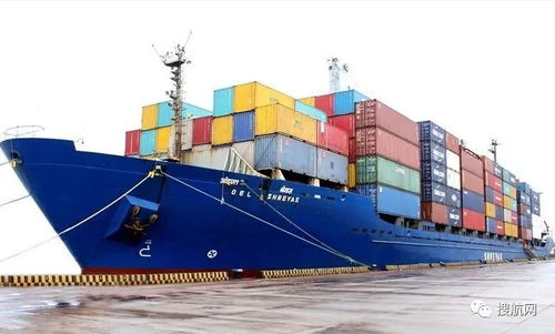 积极拓展集装箱支线业务 迪拜DP World谈判收船公司和货代公司